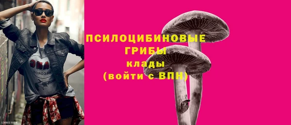 меф Осташков