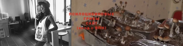 гашик Абдулино
